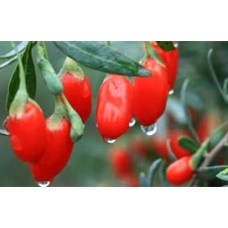 Premium Goji Berry 100 g - from Japan